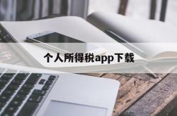 个人所得税app下载(湖南省个人所得税app下载)