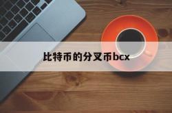 比特币的分叉币bcx(比特币的分叉币bx价格)