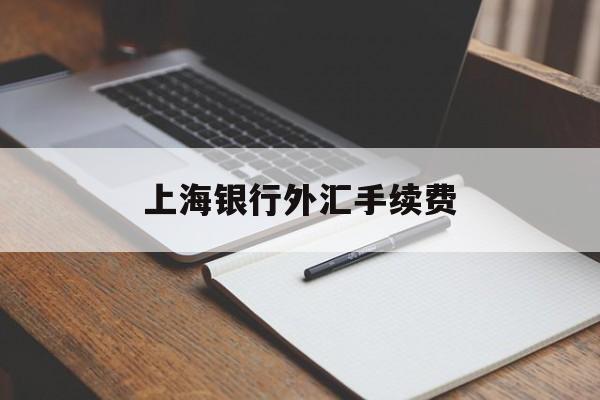 上海银行外汇手续费(上海银行外汇手续费收取标准)